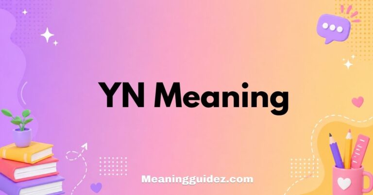 YN Meaning