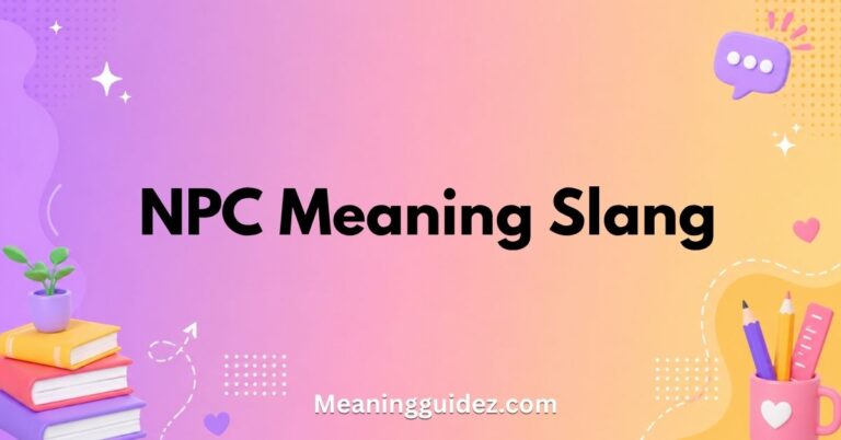 NPC Meaning Slang