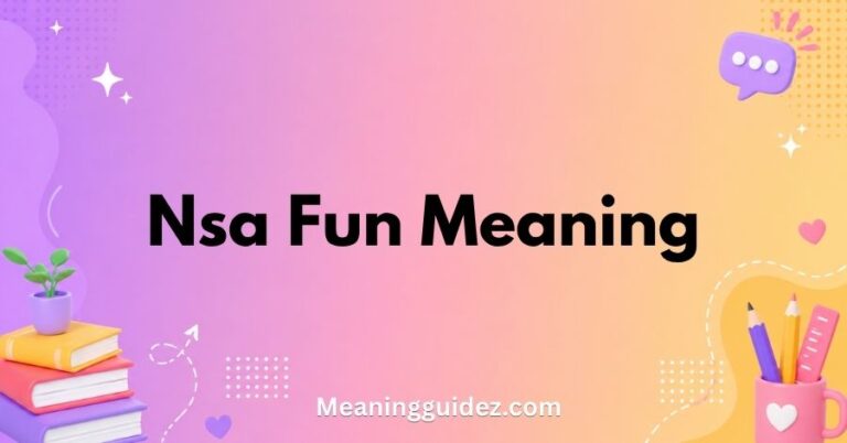 NSA Fun Meaning