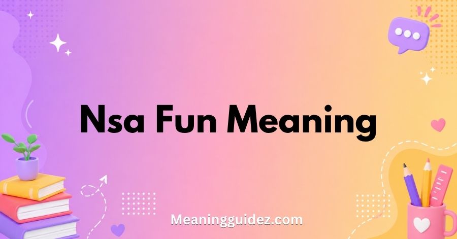 NSA Fun Meaning