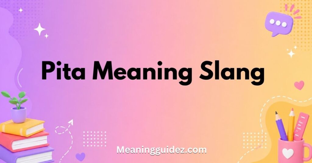 PITA Meaning Slang