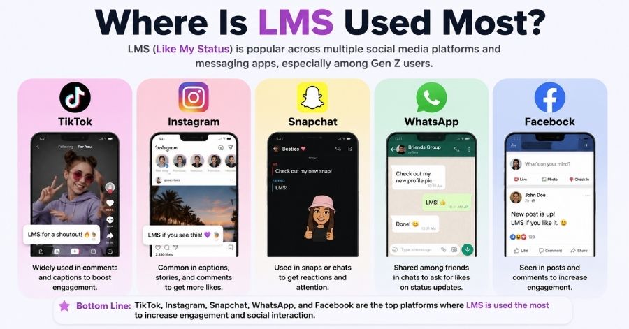 LMS Meaning Text Slang TikTok Complete Guide 2 Where Is LMS Used Most?