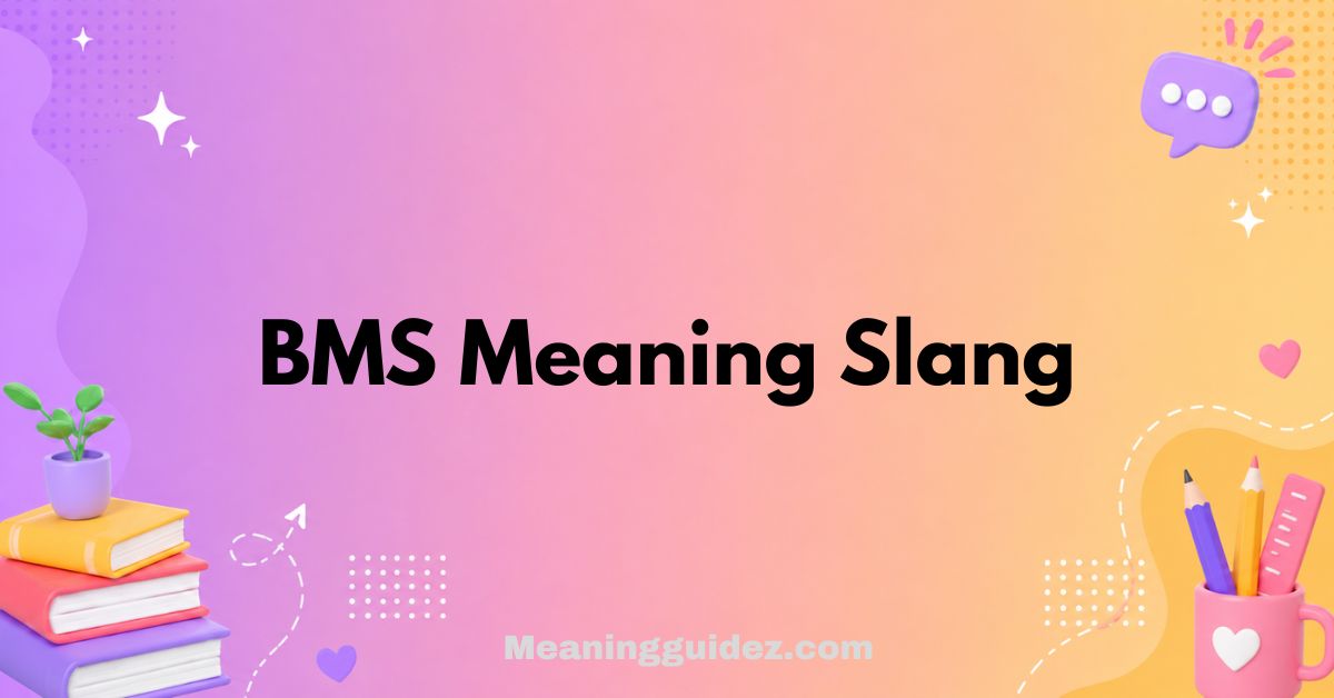 BMS Meaning Slang