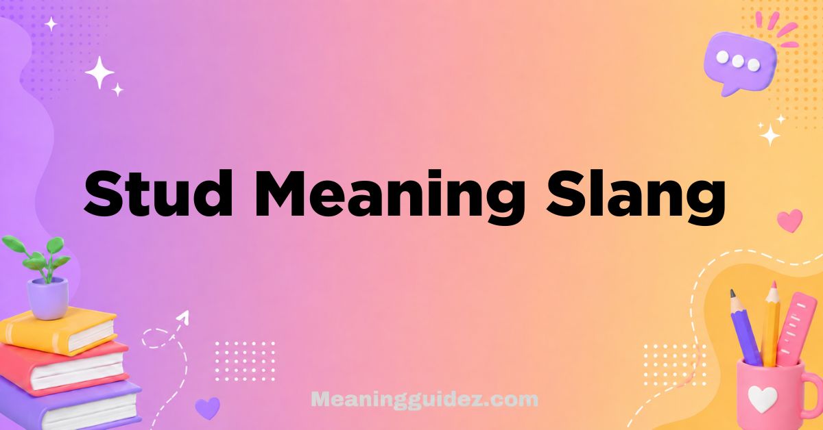 Stud Meaning Slang