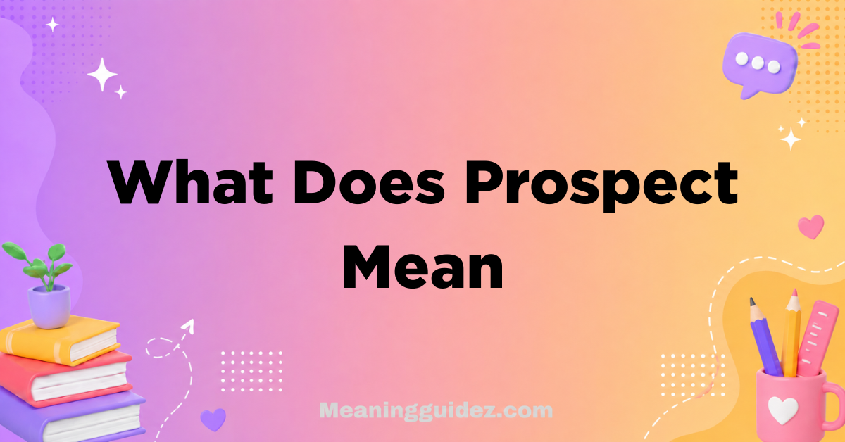 What Does Prospect Mean