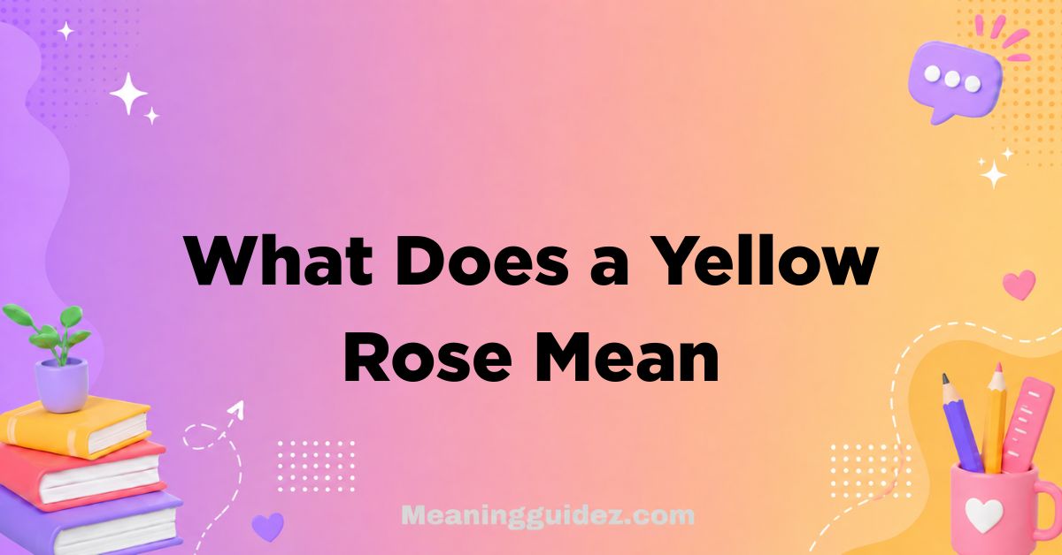 What Does a Yellow Rose Mean