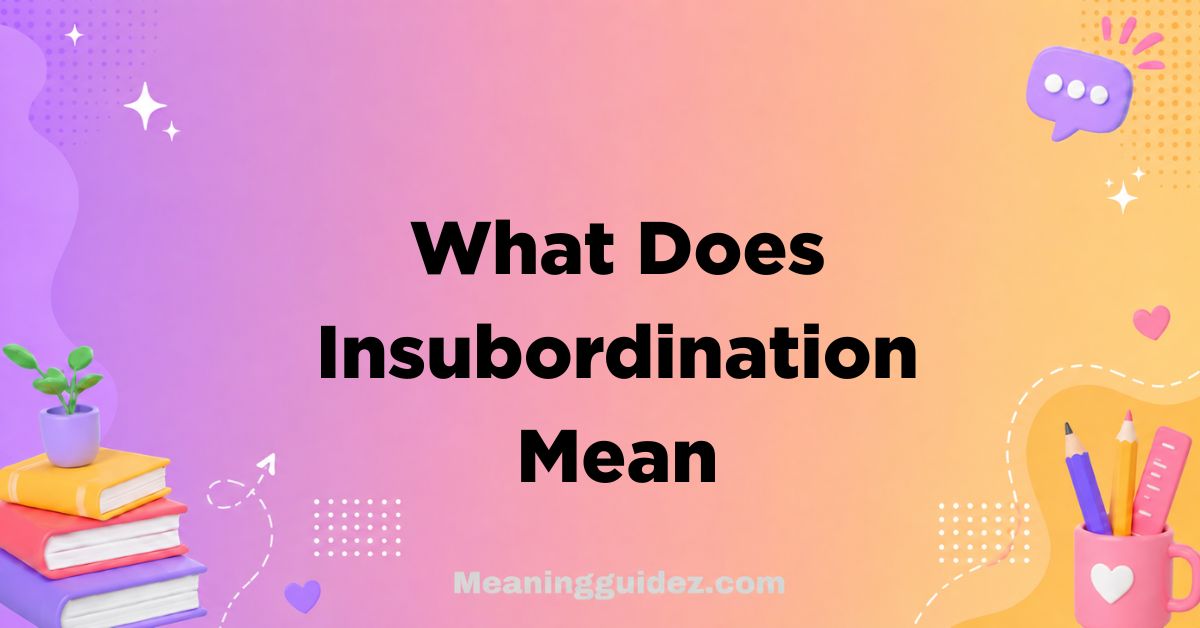 What Does Insubordination Mean