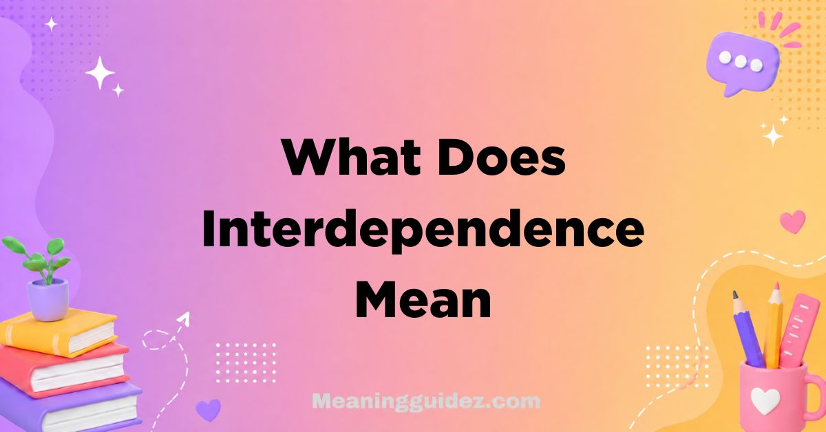 What Does Interdependence Mean