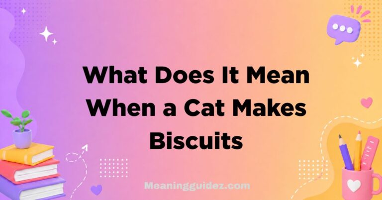 What Does It Mean When a Cat Makes Biscuits