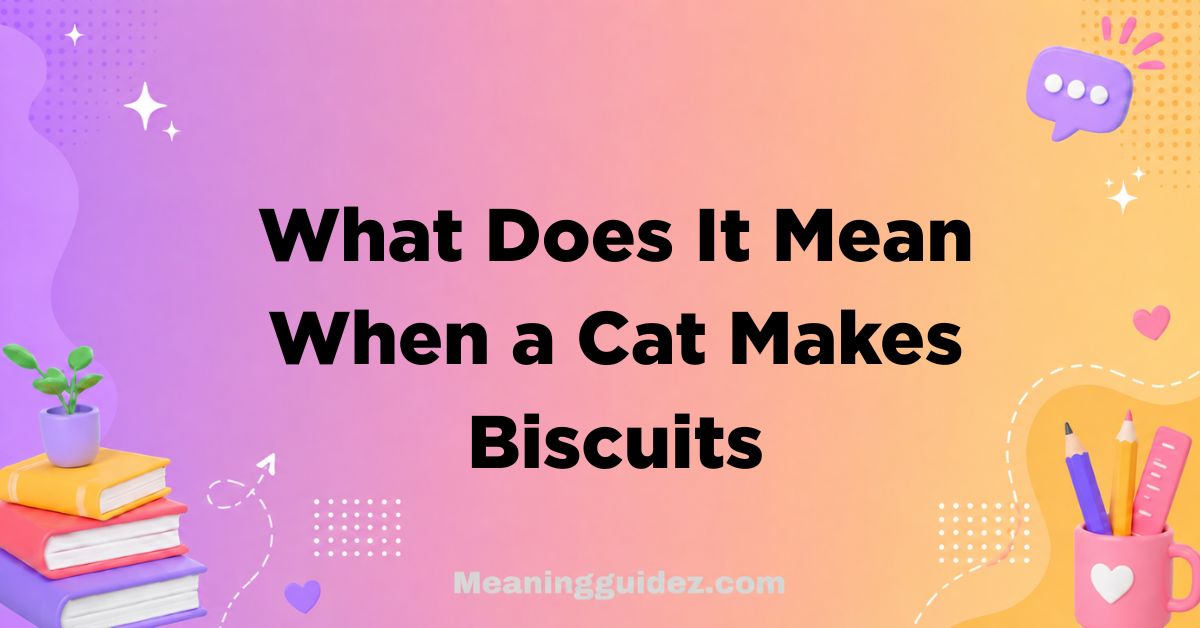 What Does It Mean When a Cat Makes Biscuits